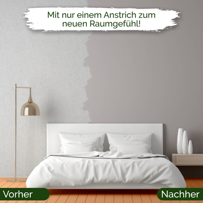 Veluxis® Wandfarbe Calm Clam – Ruhiges Grau für Wohnzimmer