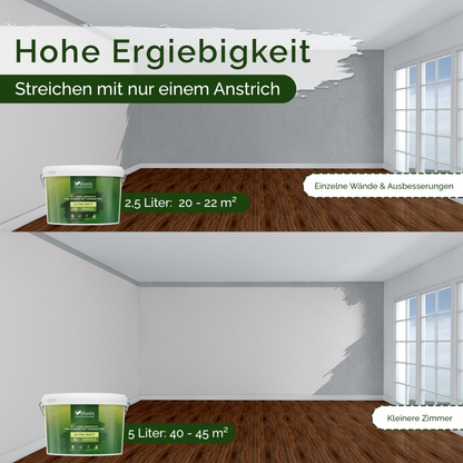 Wandfarbe Grau Innen – Universal Matt Finish Veluxis®