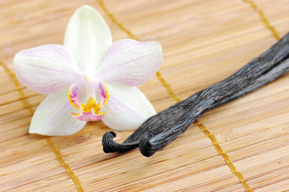 Duftkerze Sandalwood Vanilla, Creme 110 g