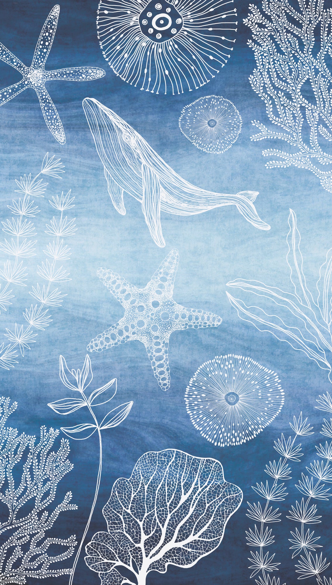 Fototapete Unterwasser Illustration - 1,59 m x 2,80 m