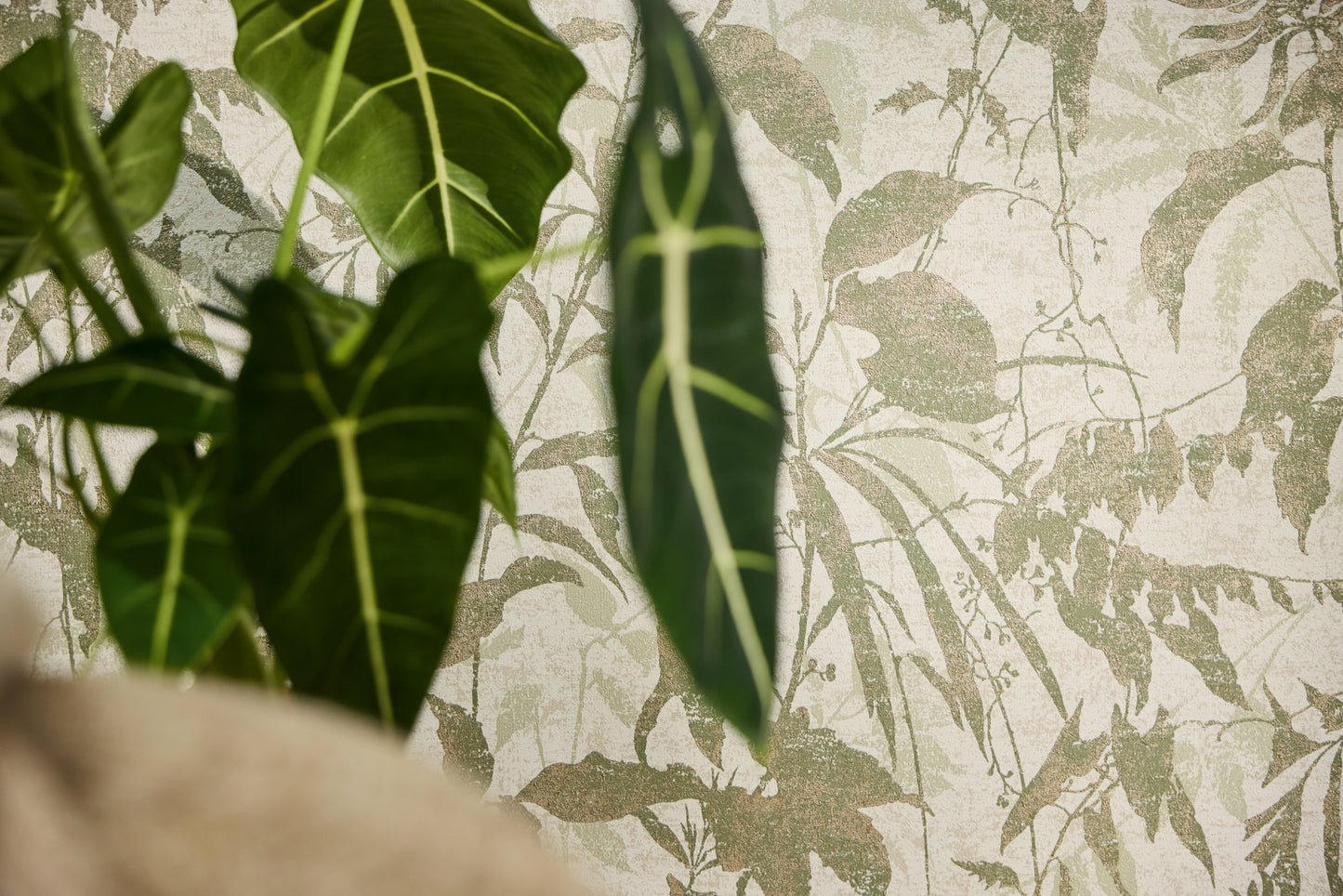Livingwalls Metropolitan Stories Hot Spots Leon - Cloud Forest Dschungel Creme Grün - 10,05 m x 0,53 m