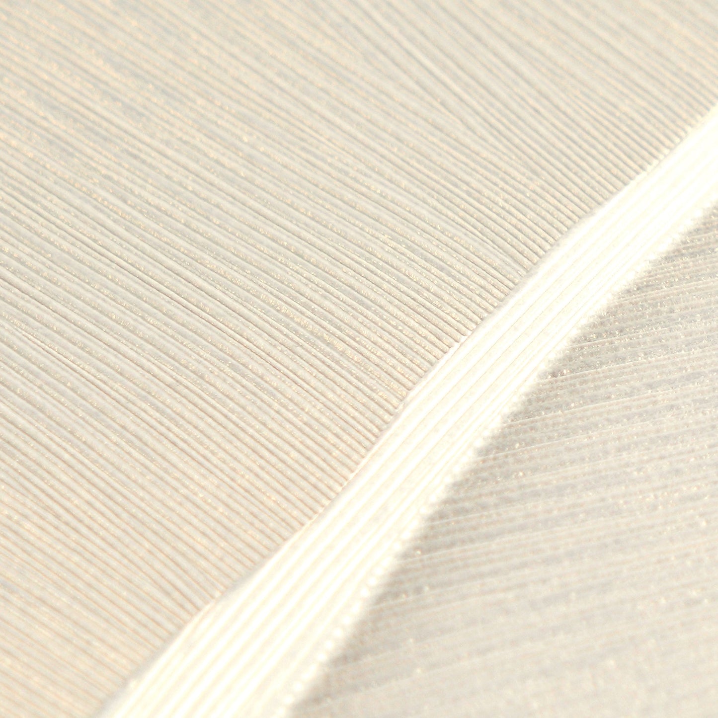 Mustertapete Bananenblätter Sand-Beige - 10,05 m x 0,53 m