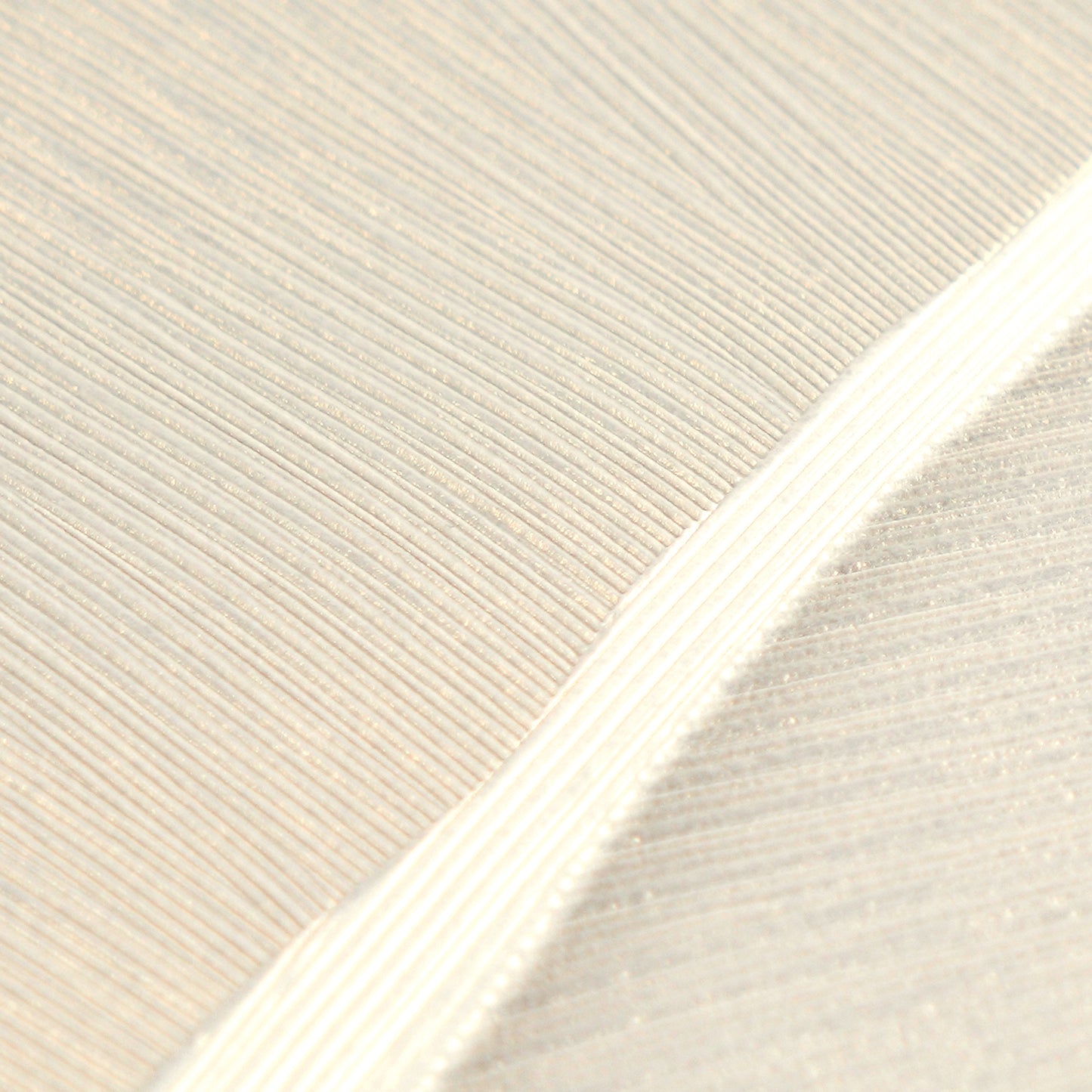 Livingwalls Vibes & Styles Isabelle - Golden Canopy Palmenblätter Creme - 10,05 m x 0,53 m