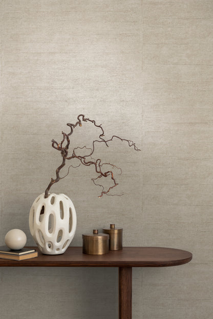 Mustertapete Betonoptik Taupe - 10,05 m x 0,53 m