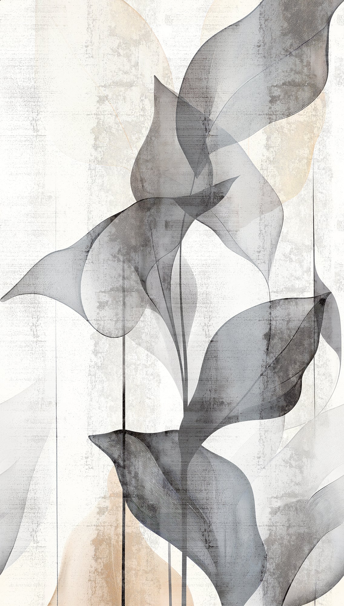 CosmoLiving Translucent  Grace 1,59 m x 2,80 m