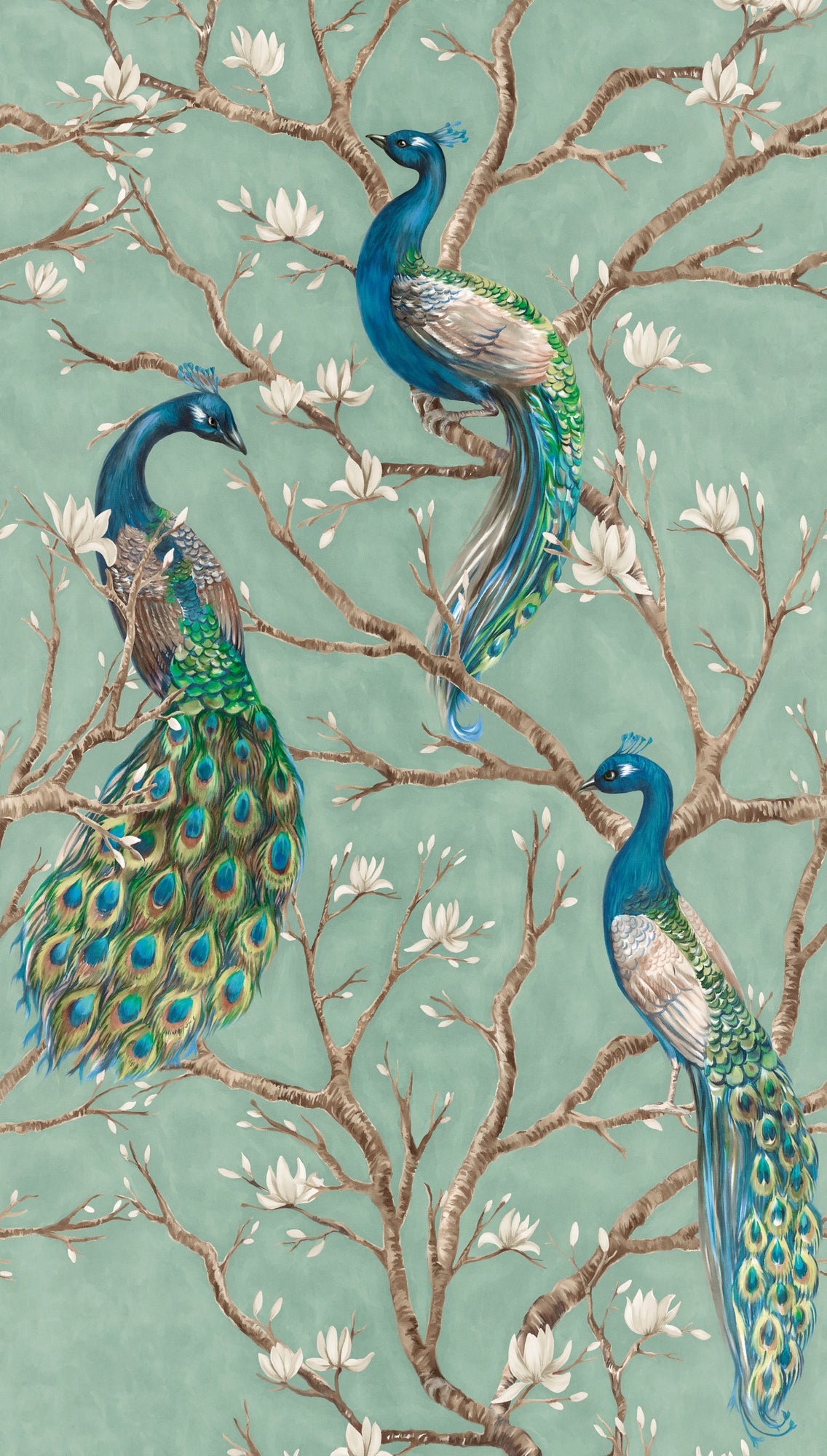 Fototapete Pfau Grün - 1,59 m x 2,80 m