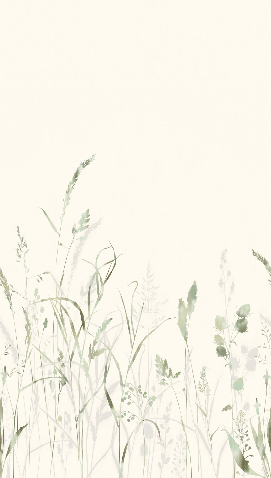 Fototapete Gräser Grün Beige - 1,59 m x 2,80 m