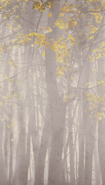 Fototapete Wald Nebel Grau Gelb - 1,59 m x 2,80 m