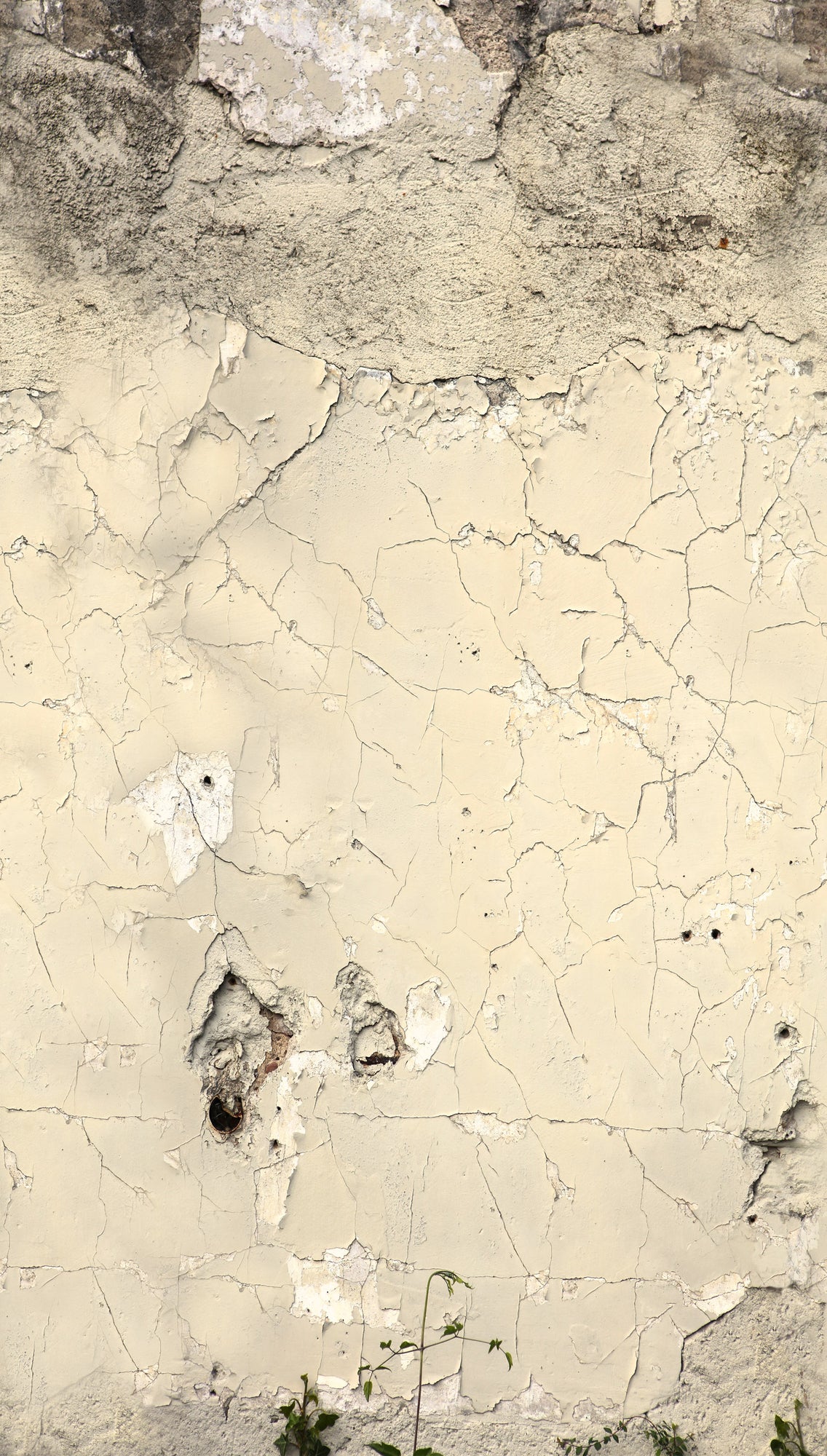 Fototapete Beton Beige - 1,59 m x 2,80 m