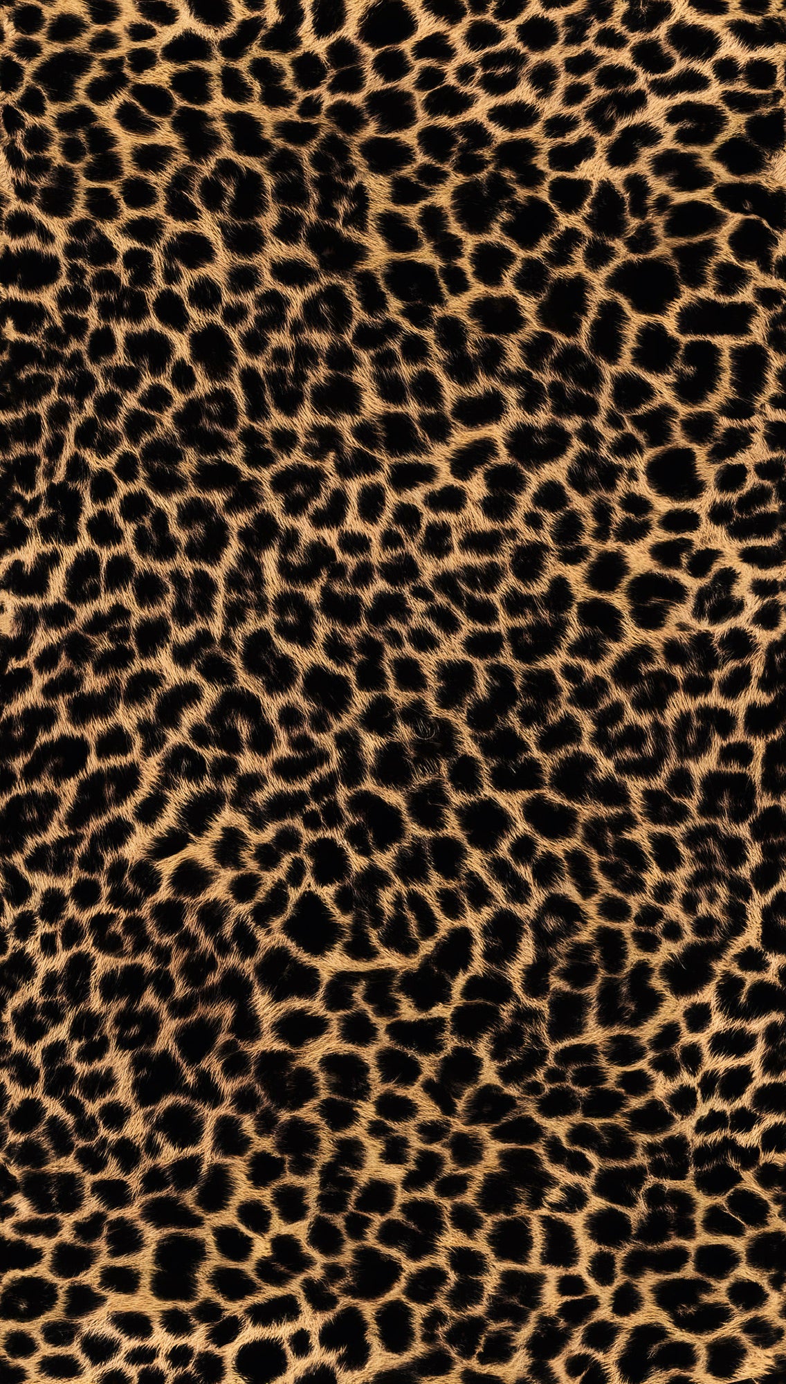 Fototapete Leopardenmuster Braun Schwarz - 1,59 m x 2,80 m