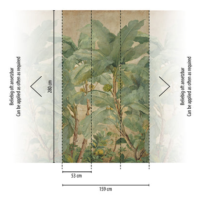 Fototapete Bananenblätter Beige Grün - 1,59 m x 2,80 m