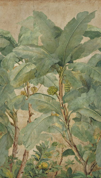 Fototapete Bananenblätter Beige Grün - 1,59 m x 2,80 m