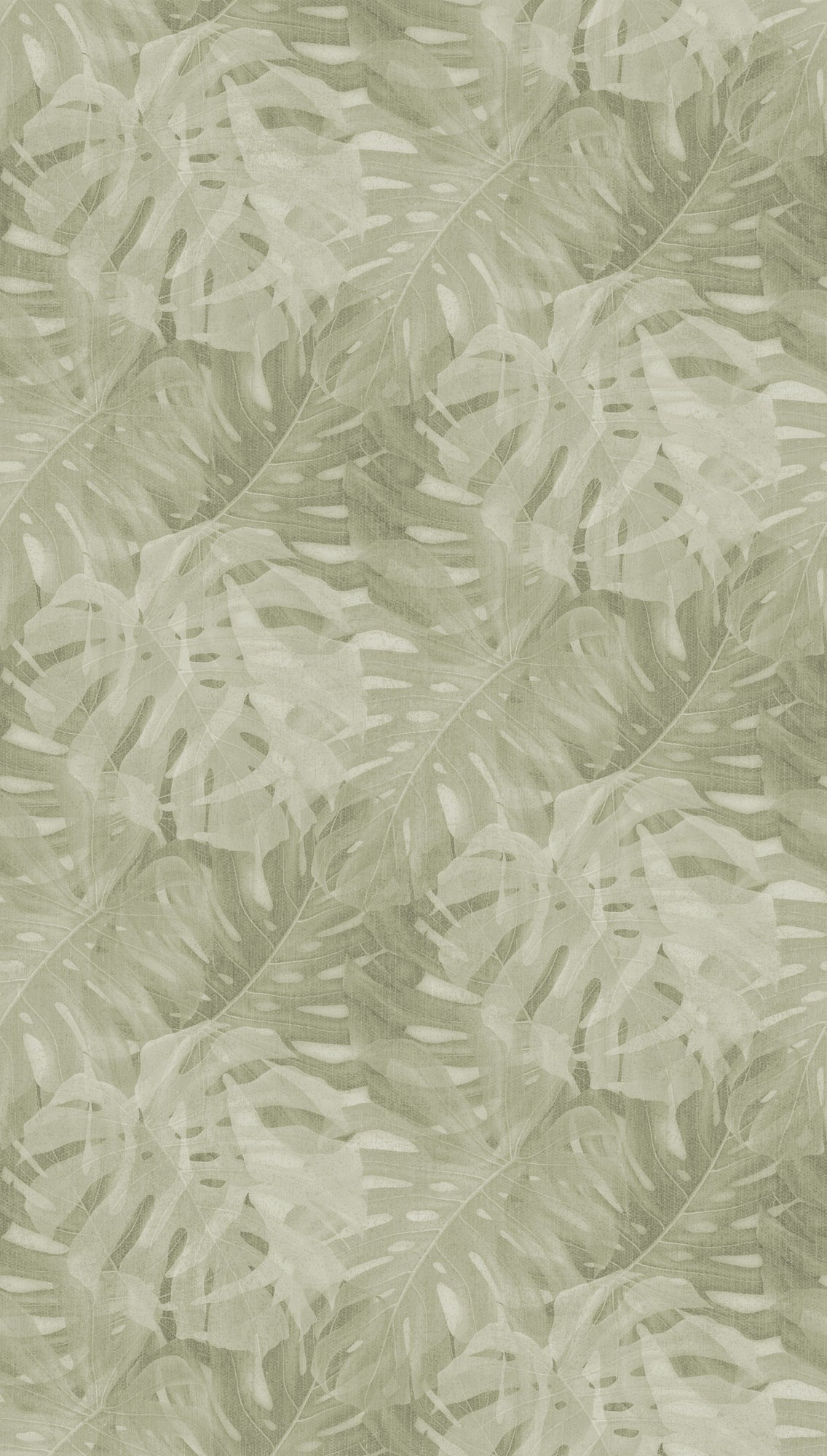 Fototapete Monstera Grün Beige - 1,59 m x 2,80 m