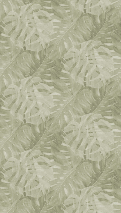 Fototapete Monstera Grün Beige - 1,59 m x 2,80 m