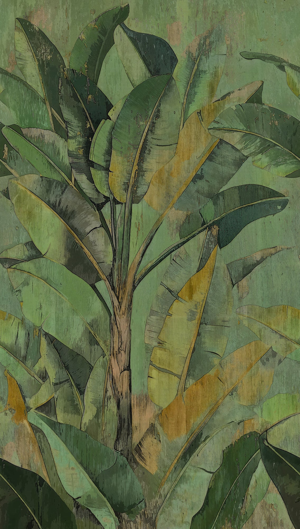 Fototapete Bananenblätter Grün - 1,59 m x 2,80 m