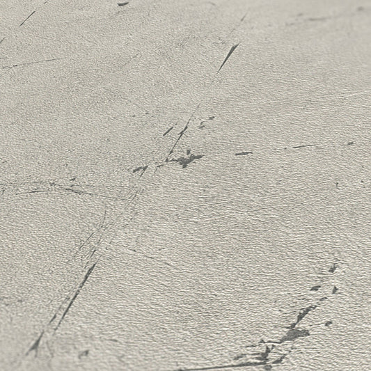 Best of Wood`n Stone 2nd Edition Vinyl-Vliestapete Grau Beige 10,05 m x 0,53 m