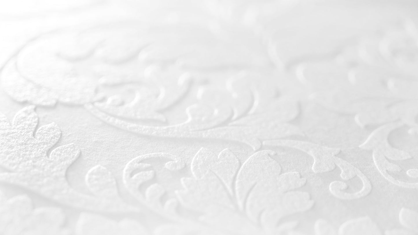 Architects Paper Meistervlies Pro Vliestapete überstreichbar Weiß 25 m x 1,06 m