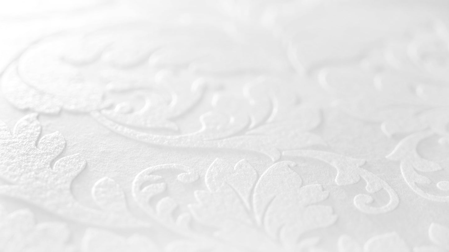 Architects Paper Meistervlies Pro Vliestapete überstreichbar Weiß 25 m x 1,06 m