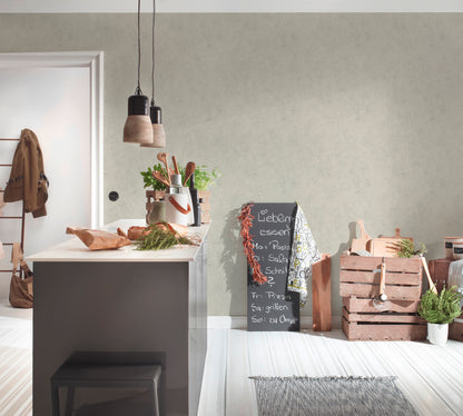 Livingwalls Daniel Hechter 7  Betonoptik Beige - 10,05 m x 0,53 m