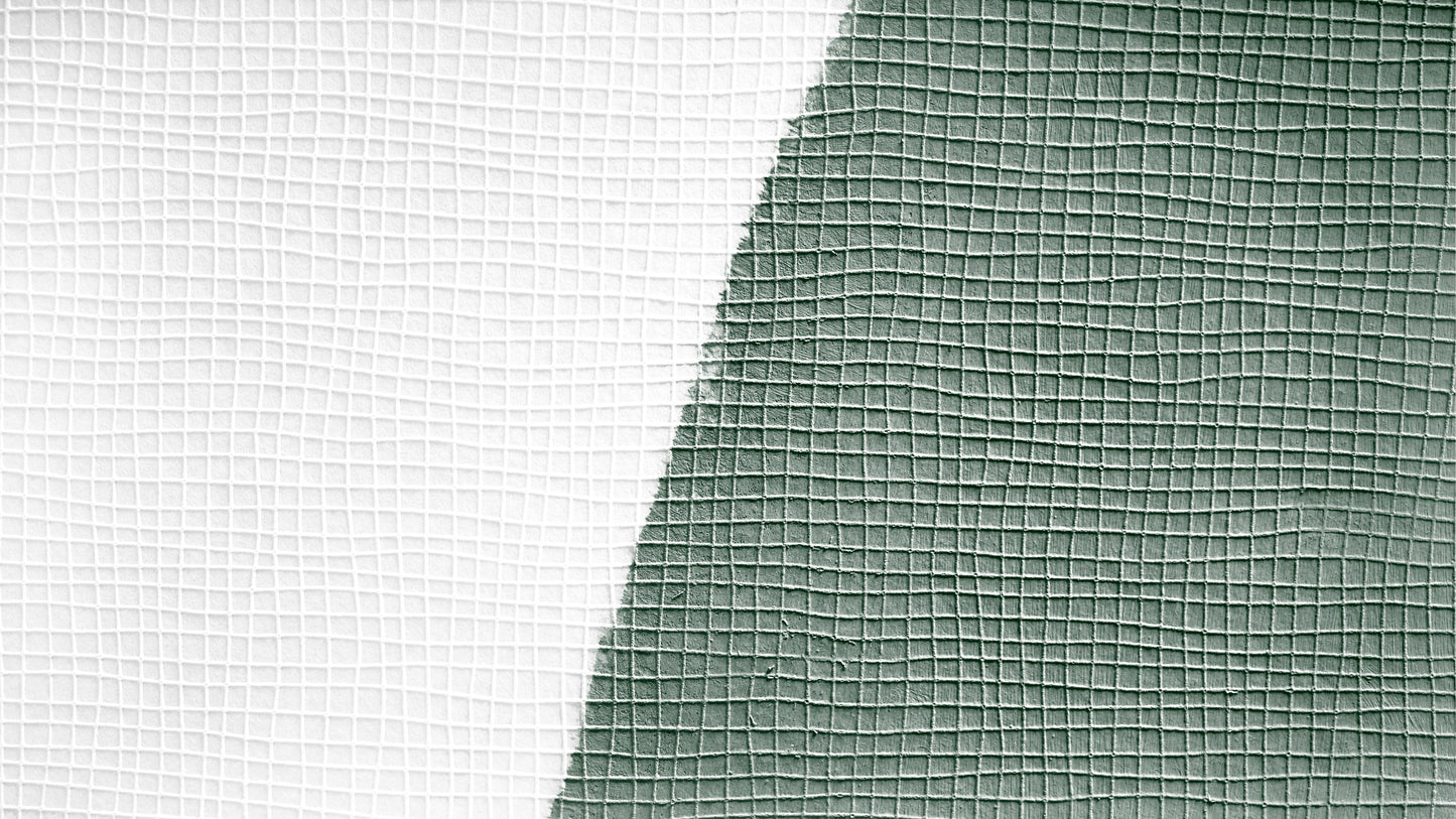 Architects Paper Meistervlies Protect Vliestapete überstreichbar Weiß 10,05 m x 0,53 m