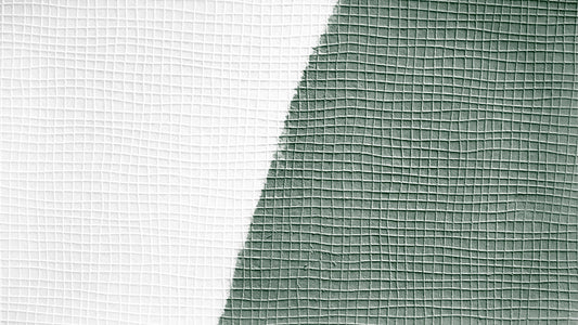 Architects Paper Meistervlies Protect Vliestapete überstreichbar Weiß 10,05 m x 0,53 m