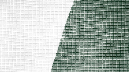 Architects Paper Meistervlies Protect Vliestapete überstreichbar Weiß 10,05 m x 0,53 m