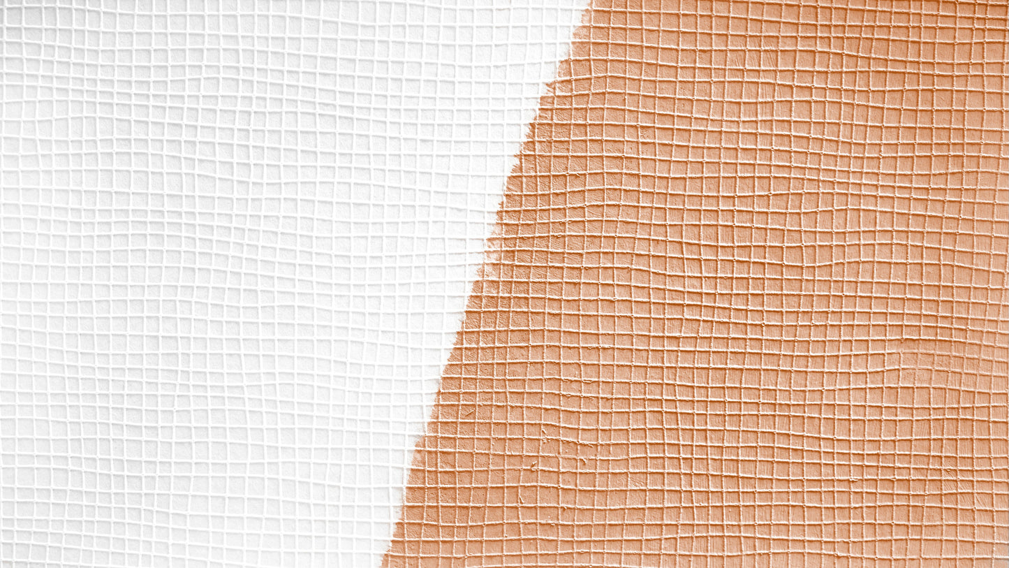Architects Paper Meistervlies Protect Vliestapete überstreichbar Weiß 10,05 m x 0,53 m