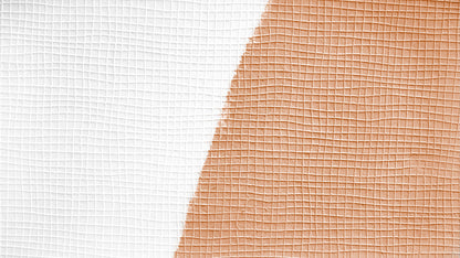 Architects Paper Meistervlies Protect Vliestapete überstreichbar Weiß 10,05 m x 0,53 m