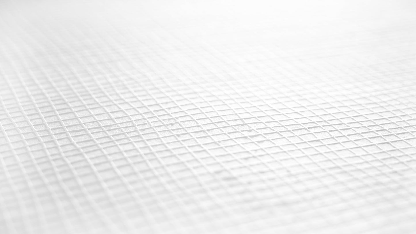 Architects Paper Meistervlies Protect Vliestapete überstreichbar Weiß 10,05 m x 0,53 m