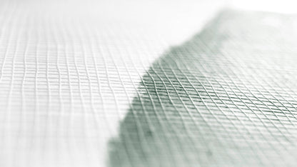Architects Paper Meistervlies Protect Vliestapete überstreichbar Weiß 10,05 m x 0,53 m