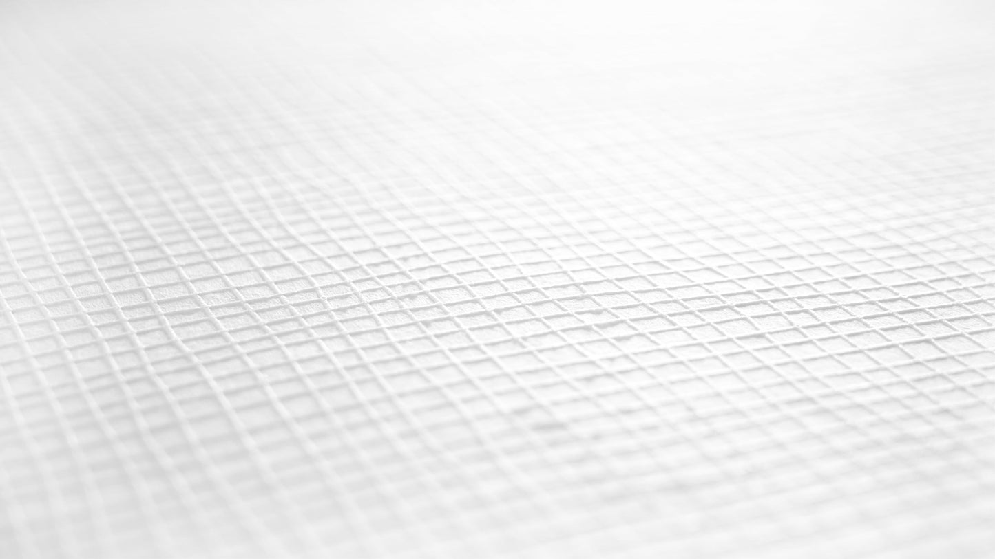 Architects Paper Meistervlies Protect Vliestapete überstreichbar Weiß 25 m x 1,06 m