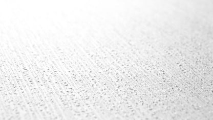 Architects Paper Meistervlies Eco Vliestapete überstreichbar Weiß 25 m x 1,06 m
