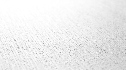 Architects Paper Meistervlies Eco Vliestapete überstreichbar Weiß 25 m x 1,06 m
