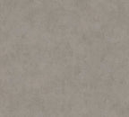 Mustertapete Putz-Optik Taupe Modern - 10,05 m x 0,53 m