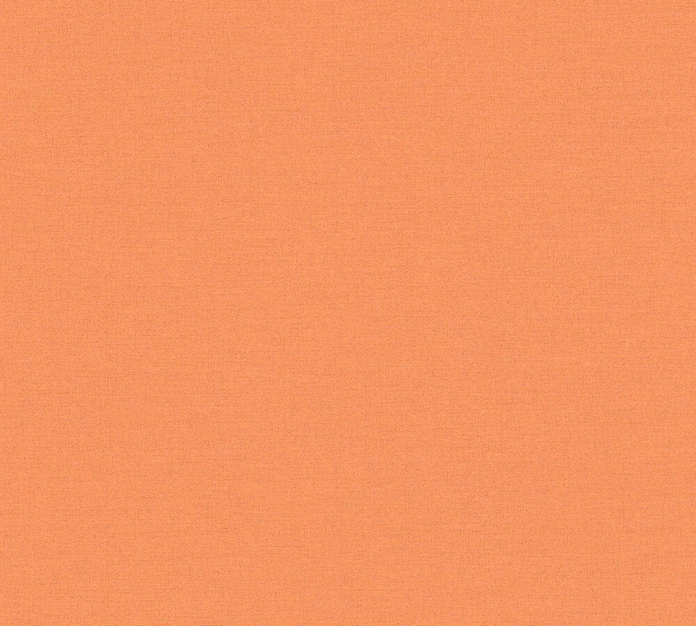 MUSTER Mustertapete-1
