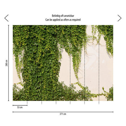 Muster Fototapeten