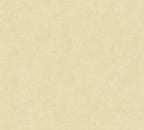 Mustertapete Verputz Beige - 10,05 m x 0,53 m