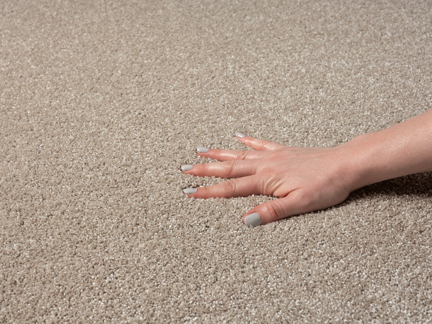 Teppich Winterweich Beige rechteckig - 290cm x 200cm
