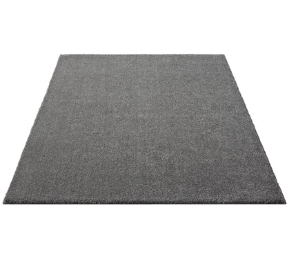 Teppich Daunentraum Grau rechteckig - 290cm x 200cm