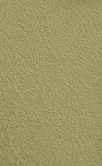 Wandfarbe Universal Grün (Mellow Matcha)