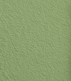 Wandfarbe Universal Grün (Green Grape)