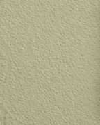 Wandfarbe Universal Grün (Warm Wasabi)