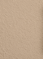 Wandfarbe Universal Beige (Nutty Nutmeg)