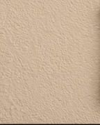 Wandfarbe Universal Beige (Humble Hummus)