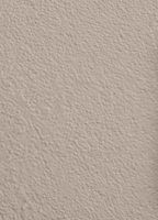 Wandfarbe Universal Beige (Seedy Sunflower)