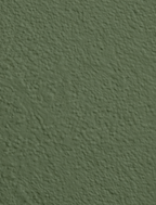 Wandfarbe Premium Grün (Olive Grove)