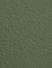Wandfarbe Premium Grün (Olive Grove)