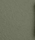 Wandfarbe Premium Grün (Moss Stone)