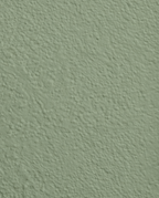 Wandfarbe Premium Grün (Muted Fern)