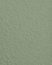Wandfarbe Premium Grün (Muted Fern)